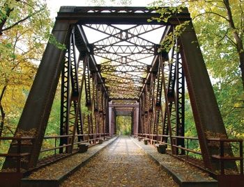 an old metal bridge in the woods with leaves on the ground