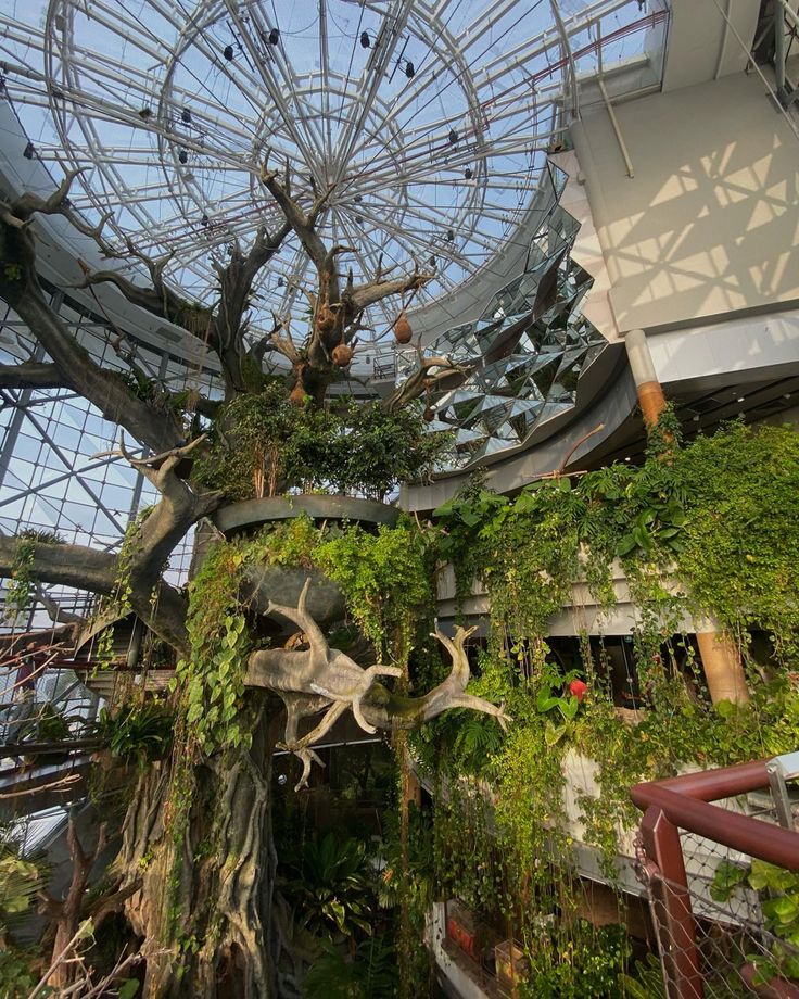 the inside of a building with plants growing on it