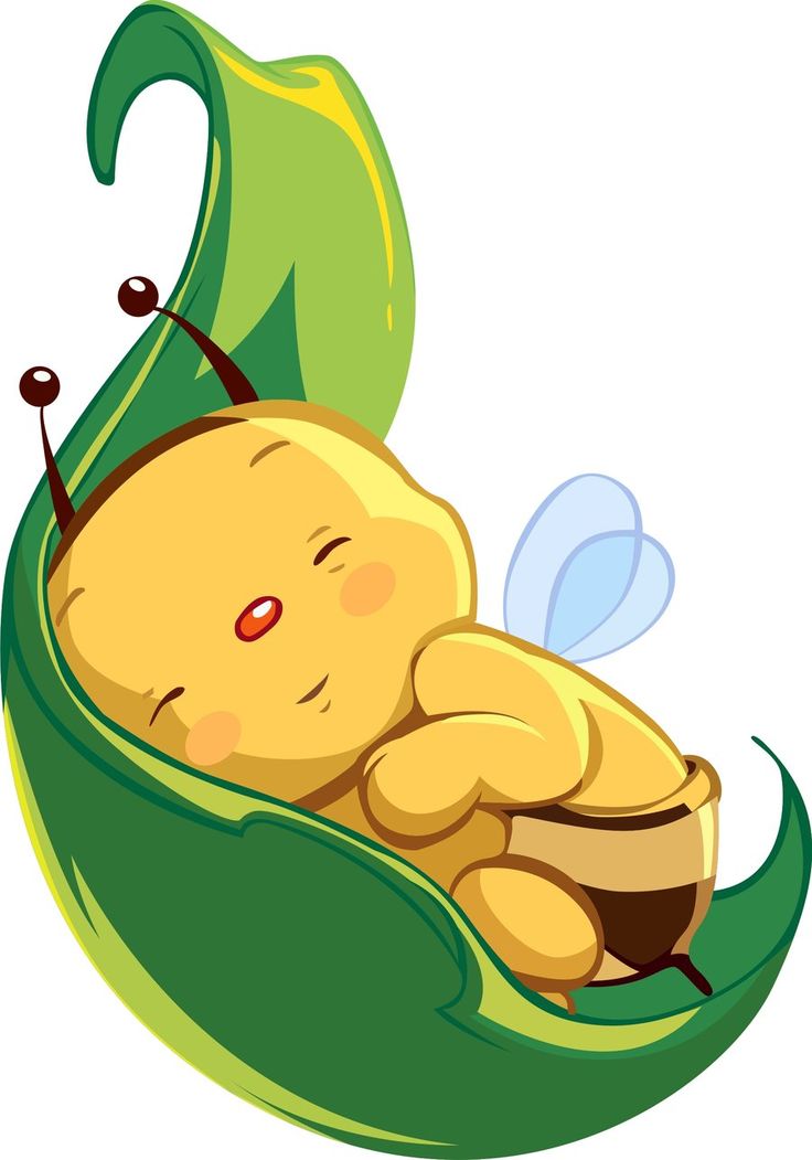 a baby in a green leaf with a bee on it's back, sleeping