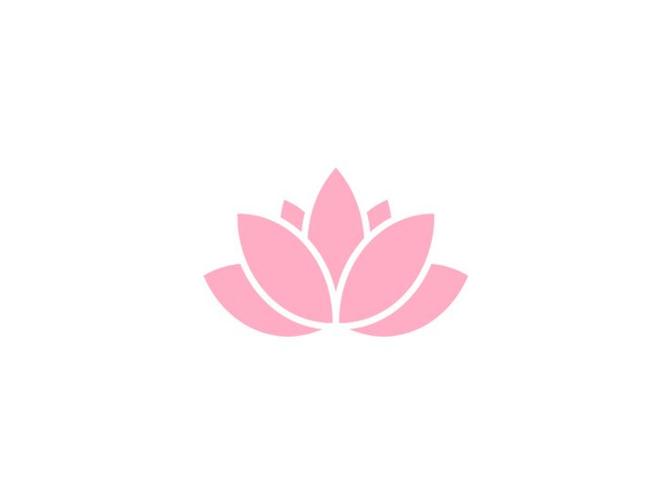 a pink lotus flower on a white background