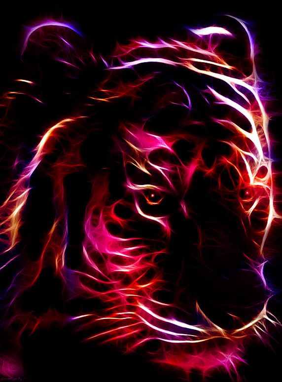 a colorful tiger's face is shown in the dark