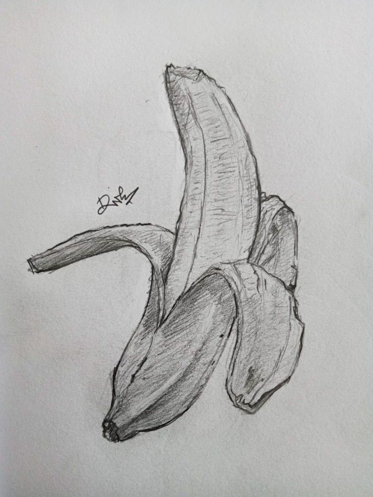 drawing pencilonpaper banana 221122 Fruits Pencil Sketch, Banana Sketch Pencil, Easy Food Sketches, Gcse Drawing Ideas, Banana Pencil Drawing, Food Pencil Sketch, Food Drawings Pencil, Banana Drawing Realistic, How To Draw A Banana