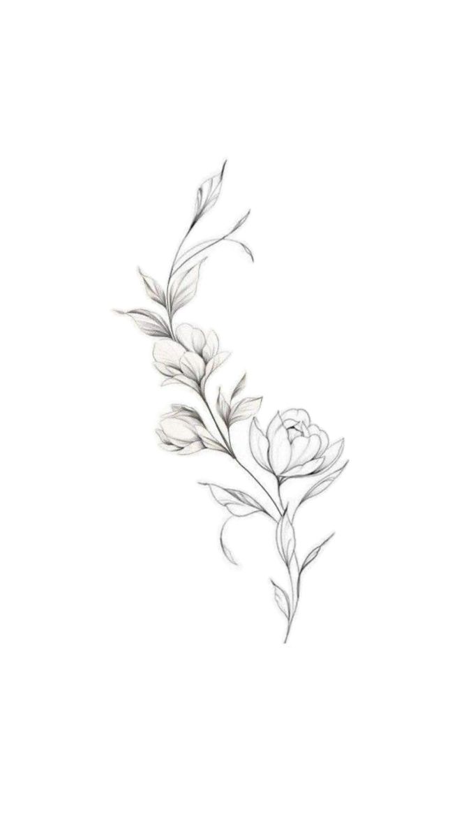 a drawing of a flower on a white background