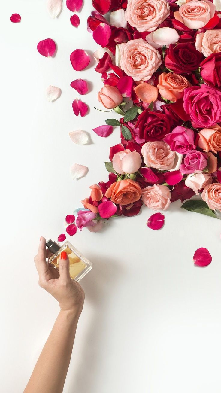 a person holding a small box in front of flowers on a white background with pink and red petals