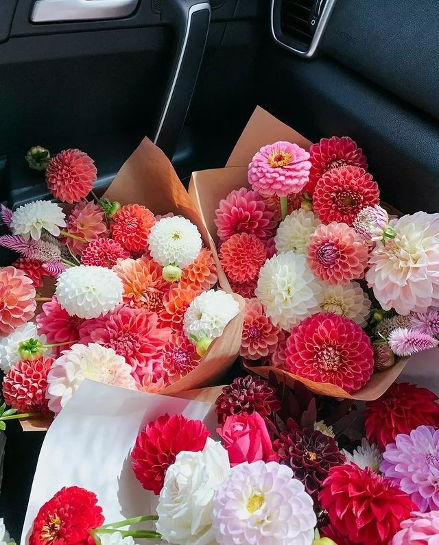 a bunch of flowers sitting in the back seat of a car with paper wrapped around them