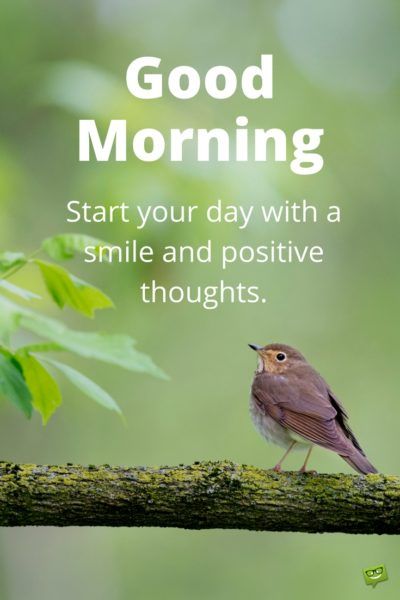 a bird sitting on top of a tree branch with the caption good morning start your day with a smile and positive thoughts