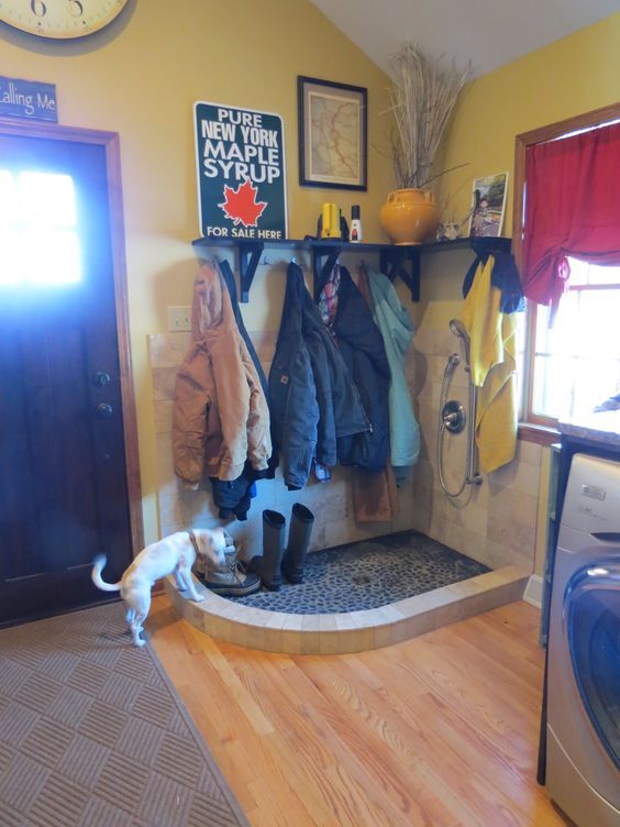 a dog standing in front of a dryer next to a shelf with coats on it