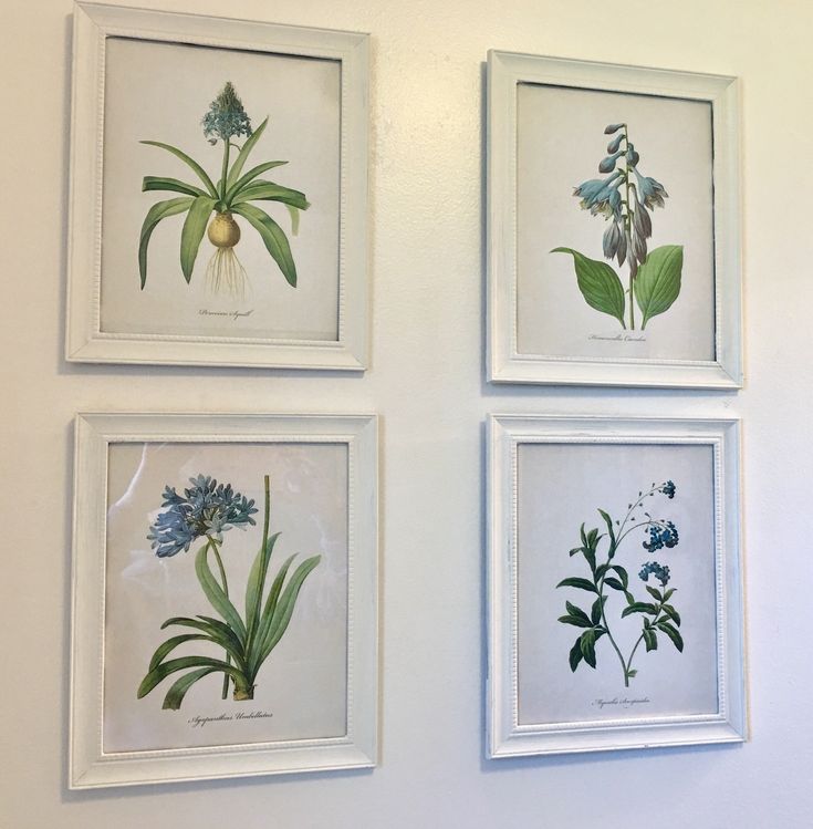 three framed flowers are hanging on the wall next to each other, one is blue and green