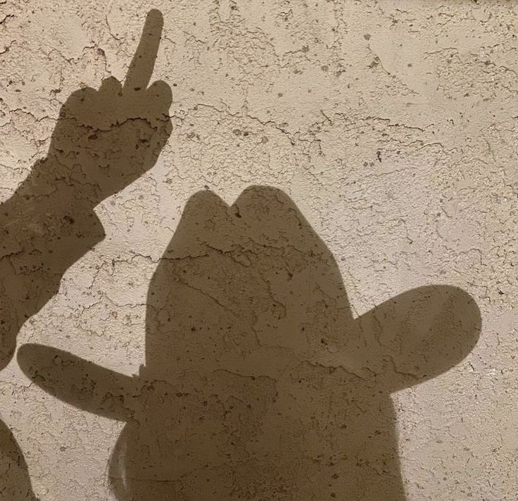 the shadow of a person's hand making a peace sign in front of a stucco wall