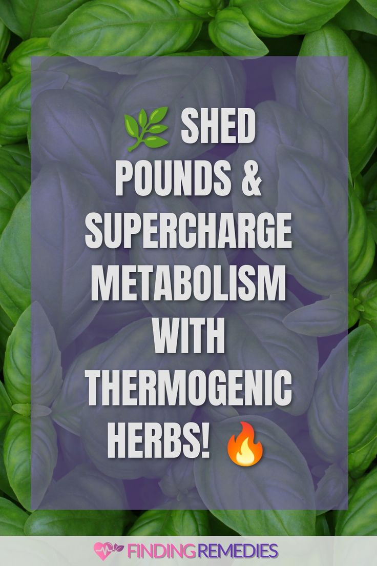 🌿 Shed Pounds & Supercharge Metabolism with Thermogenic Herbs! 🔥 Herbal Therapy, Boost Your Metabolism, Boost Metabolism, Weight Management, Wellness Tips, Natural Healing, Herbal Remedies, Healthy Tips, Fitness Goals