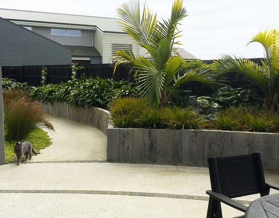 there is a dog that is walking down the path in front of some plants and trees