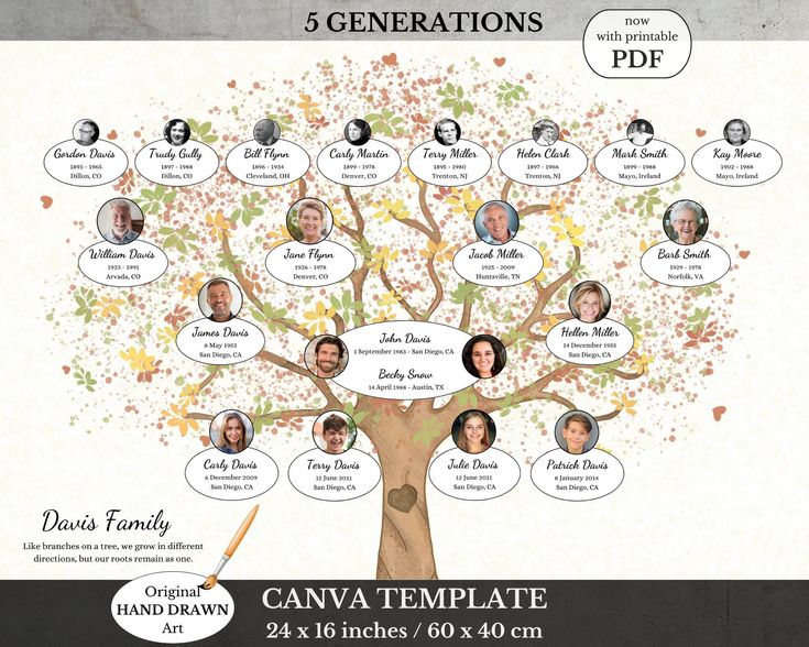 a family tree with five generations on it