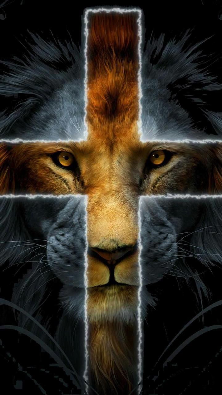 a cross with a lion's face on it and the reflection of another animal