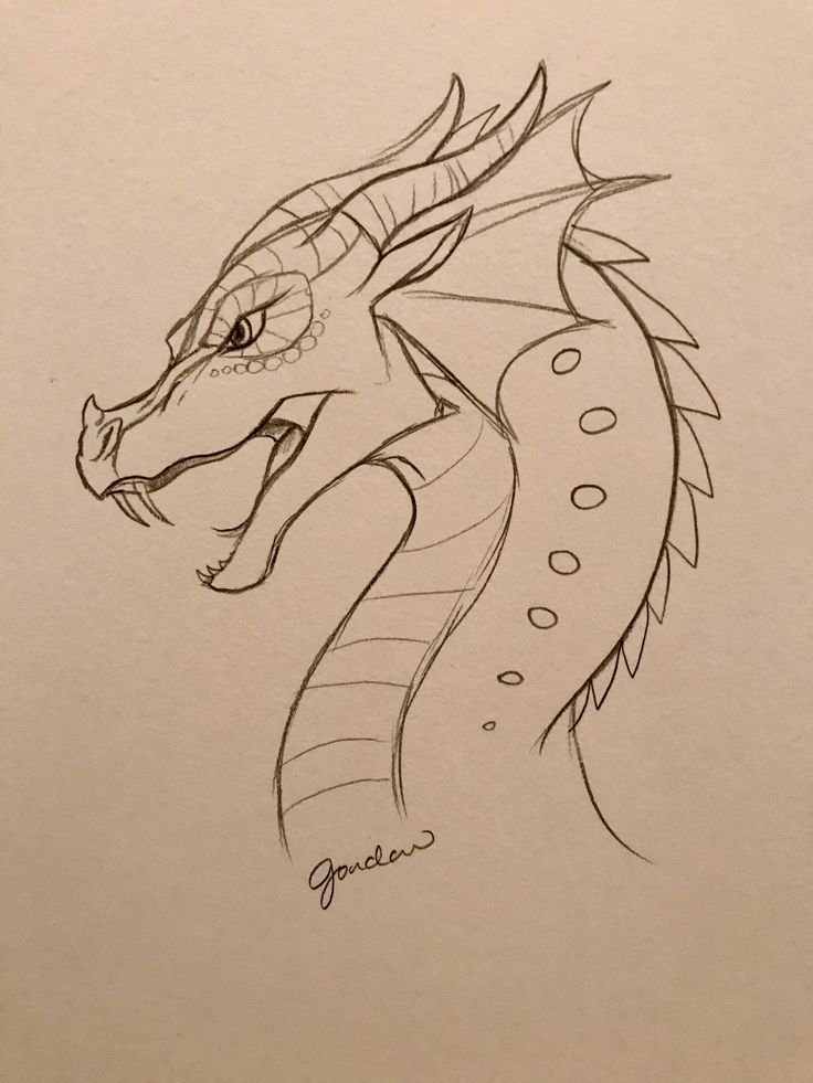 a drawing of a dragon with its head turned to look like it's coming out of