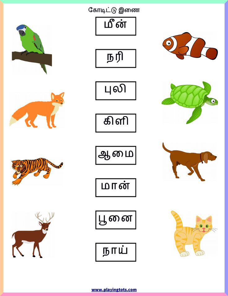 Animals worksheet Tamil | 1st grade worksheets, 2nd grade worksheets ...