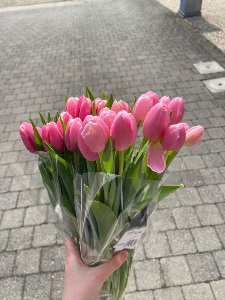 a person holding a bouquet of pink tulips