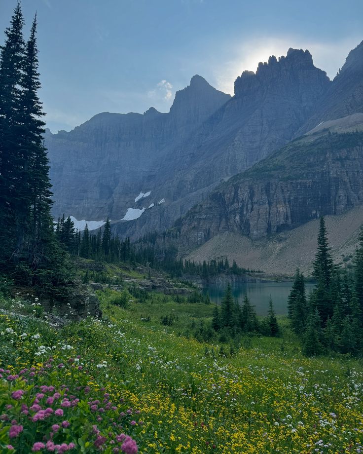 the mountains are covered in flowers and trees