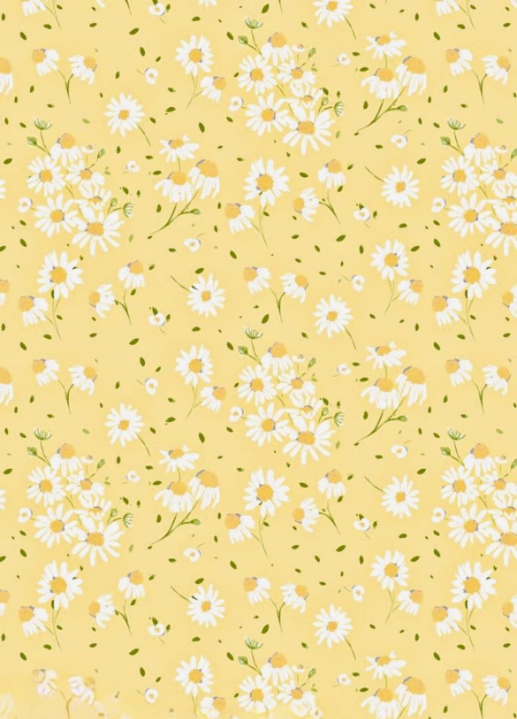 a yellow background with white daisies and green leaves