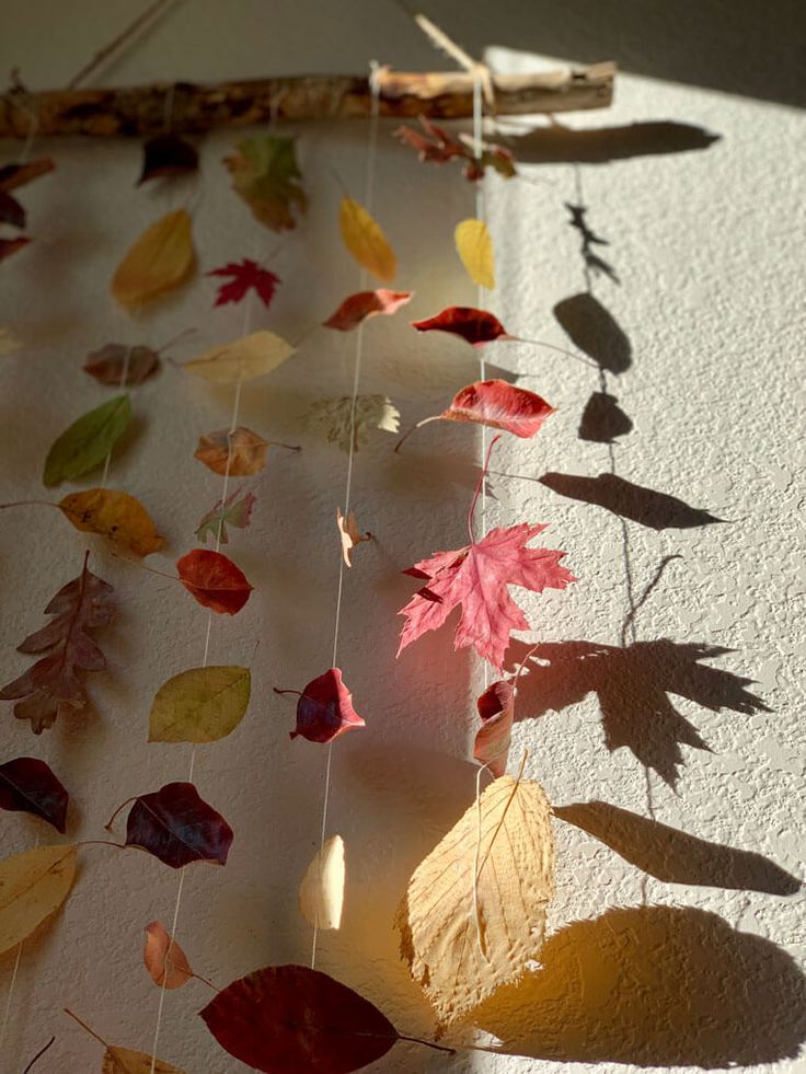 the shadow of leaves is cast on the wall by a stick and some sticks with clothes pins attached to it