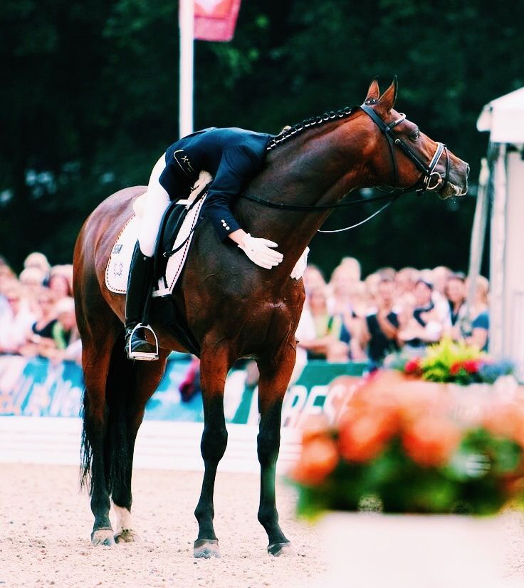 a person riding on the back of a brown horse in front of a crowd with people watching