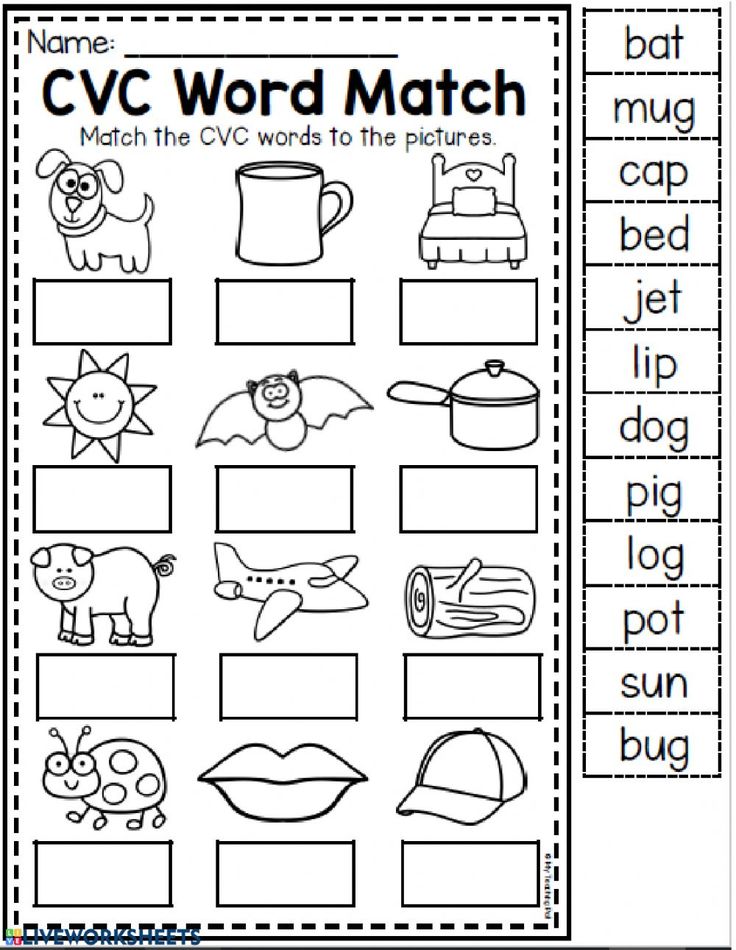 cvc word match worksheet with pictures to help students practice their spelling skills