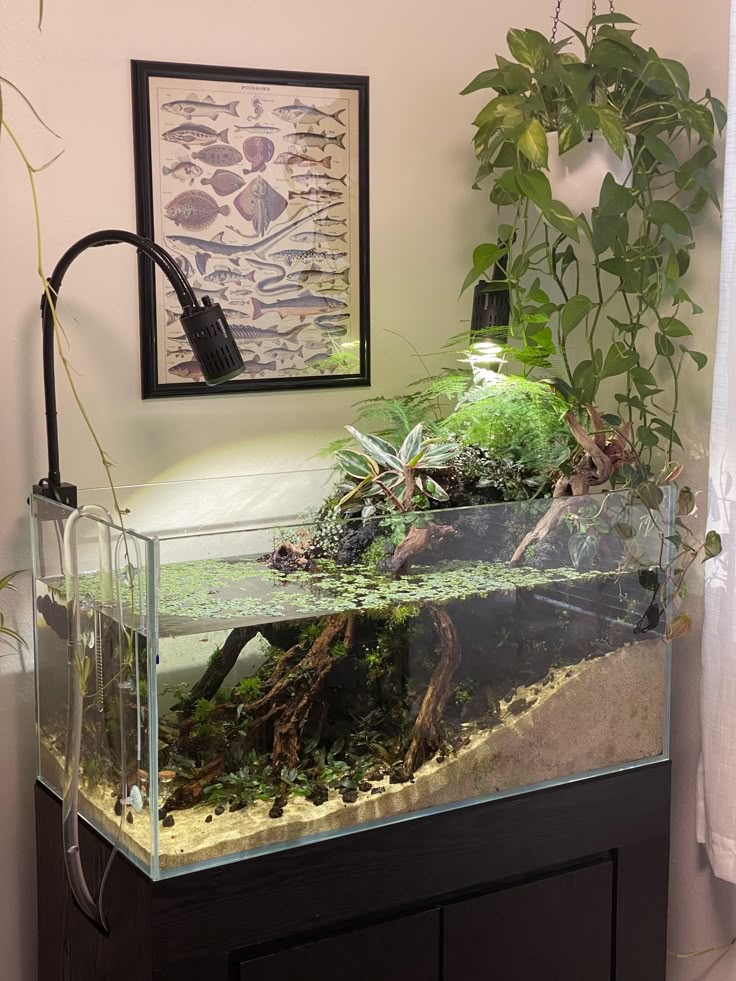 a fish tank filled with plants and water in front of a wall mounted planter