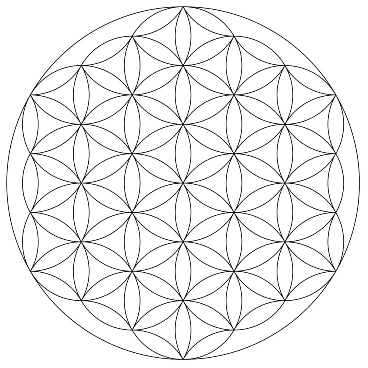 the flower of life is shown in black and white, as well as an outline