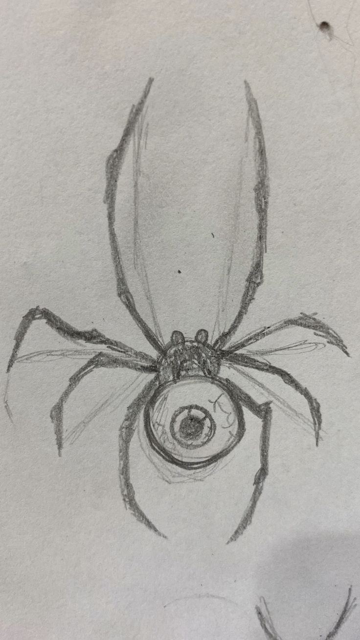 a drawing of a spider sitting on top of a piece of paper