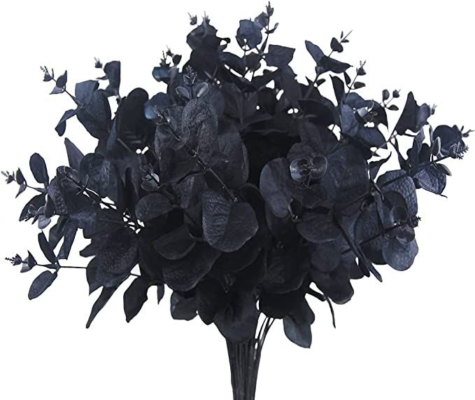 a vase filled with black flowers on top of a table