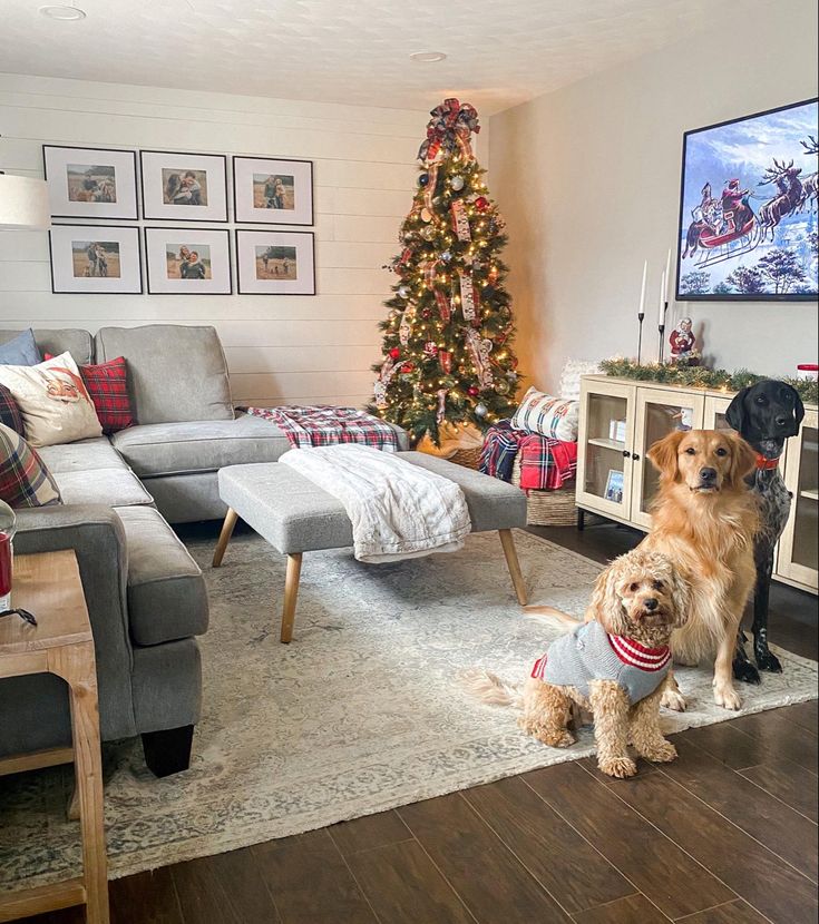 two dogs sitting in front of a christmas tree