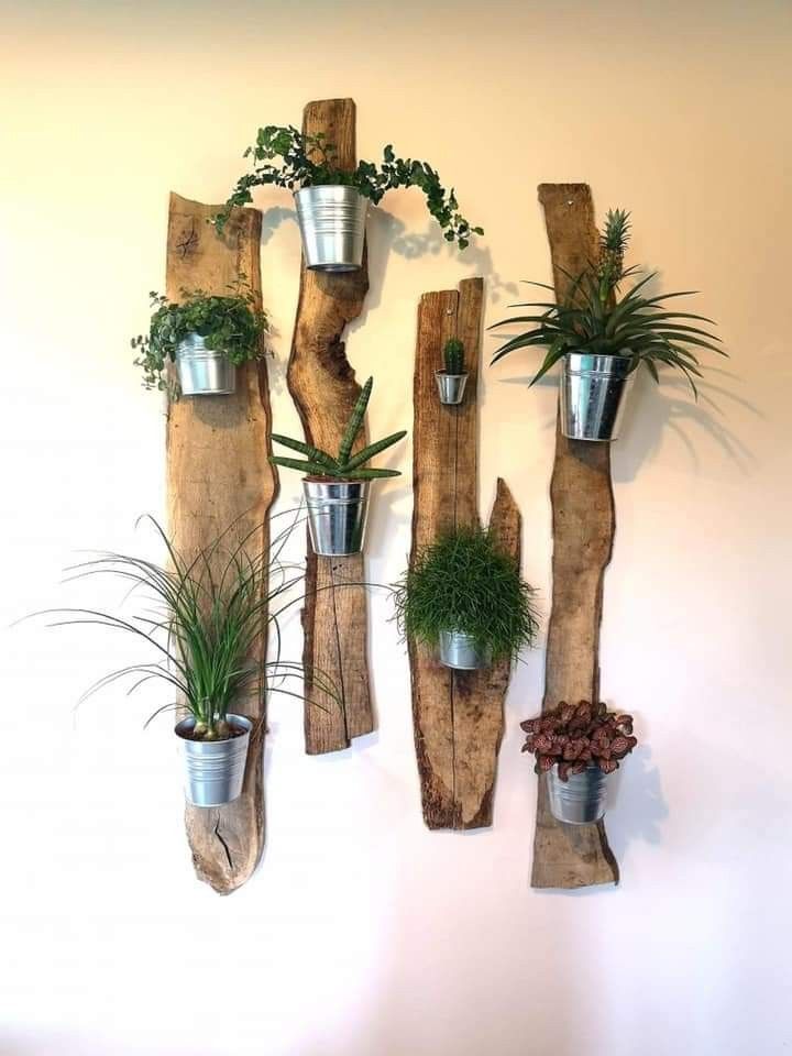 some plants are hanging on the wall with vases and wood pieces as decoration in this room