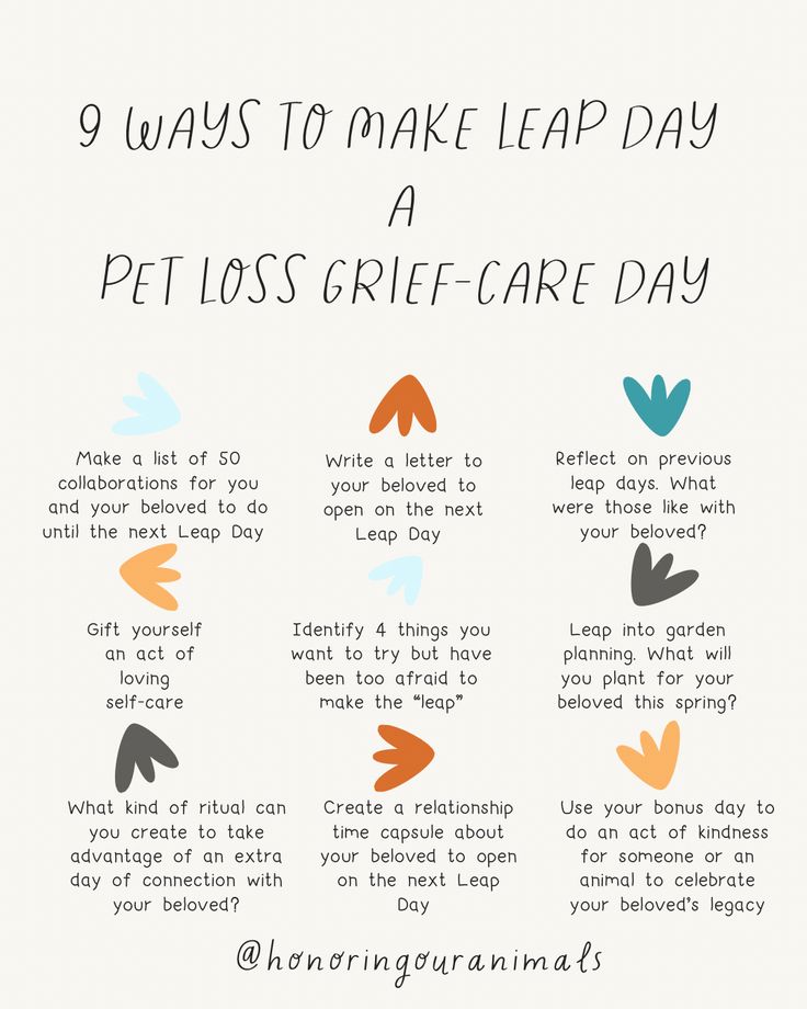 the 9 ways to make leap day a pet loss relief - care day info sheet