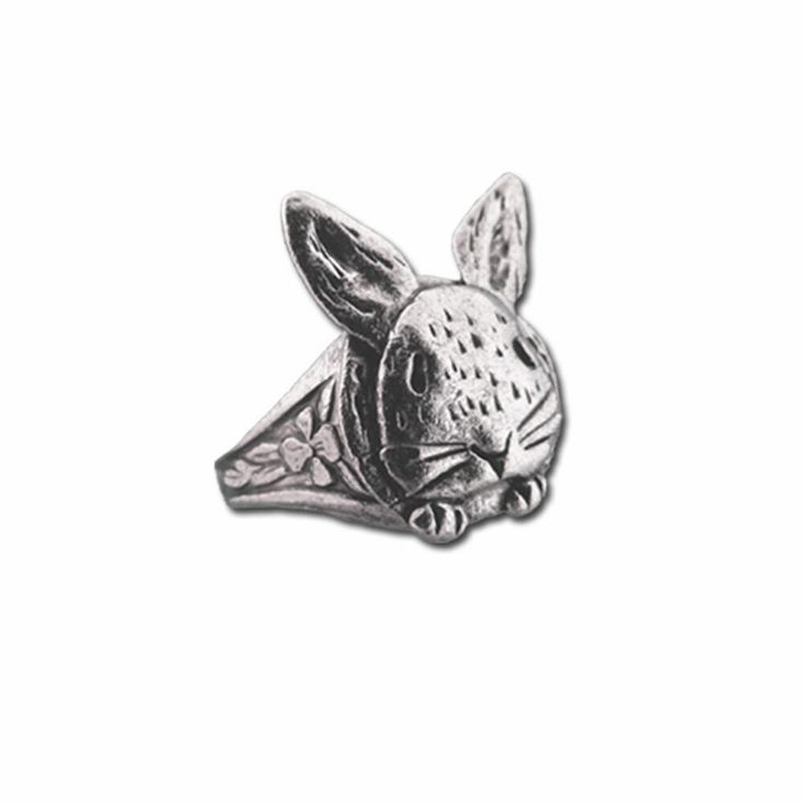 This sweet bunny ring has a cute expression and a pretty floral-themed band. Perfect for Easter, or anytime! Now house rabbit lovers can keep their sweet pets in their thoughts wherever they go. The bunny has been cast in fine pewter, and the band is durable bronze. This is an adjustable ring, fitting sizes 6-9 You can also add a pair of matching stud earrings, dangle earrings or a necklace to your order! //HOW WAS THIS MADE?// *My name is Merry Rosenfield and I am the artist for The Magic Zoo. I created the original for this piece in my home studio. This design was completely made by hand *After completing the design, it was cast for me in fine pewter. My casters are talented artisans and friends who have been working with me for over 20 years *Please contact me if you have any questions Zoo Logo, Bunny Ring, Rabbit Ring, Rabbit Houses, Rabbit Jewelry, Bird Accessories, Pewter Jewelry, Bunny Earrings, House Rabbit