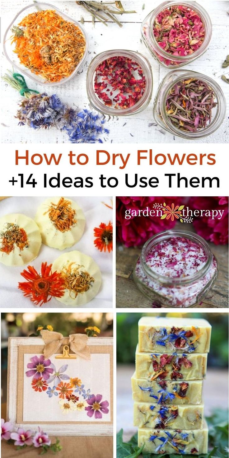 How To Dry Flowers, Dried Flower Crafts, Flower Drying, Dried Flowers Crafts, Preserve Flowers, Pressed Flowers Diy, Dried Flower Petals, Drying Flowers, Dried Flowers Diy