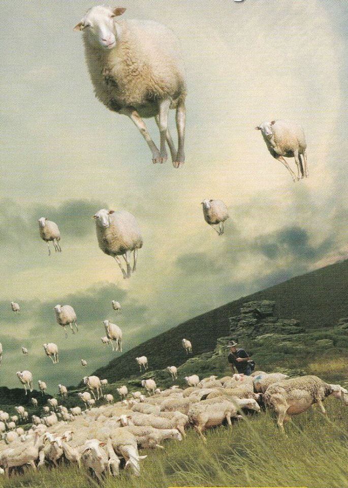 there are sheep flying in the sky