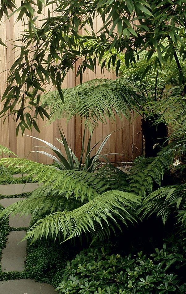 an outdoor garden with green plants and stone path leading to fenced in yard area