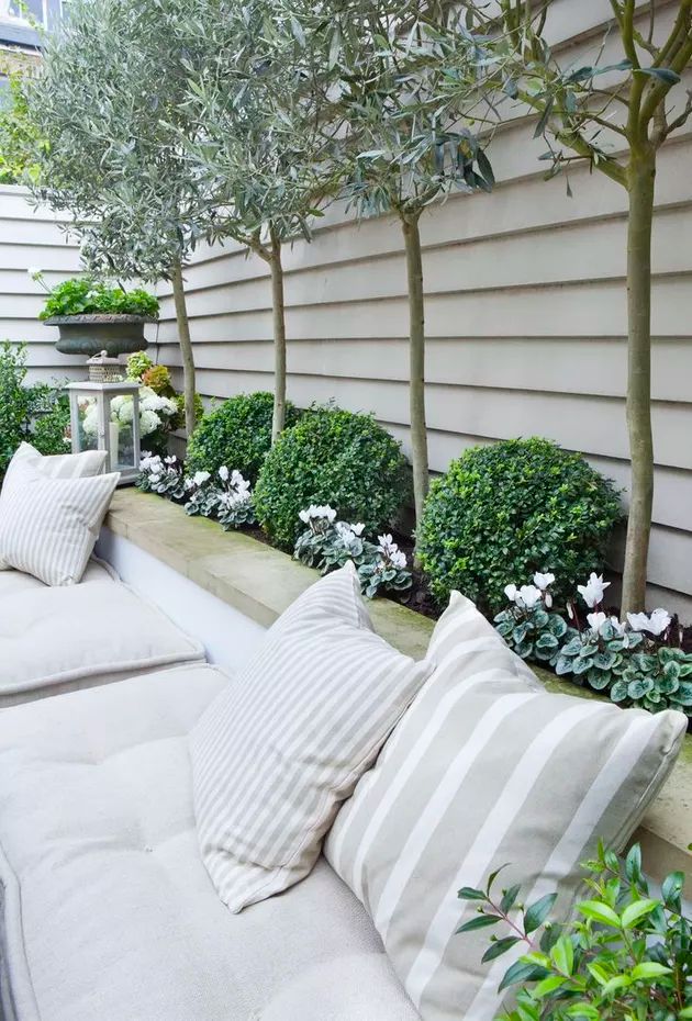 a white couch sitting on top of a wooden bench next to a lush green tree