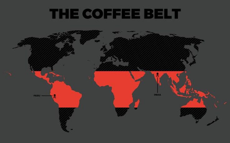 the coffee belt map is shown in red and black