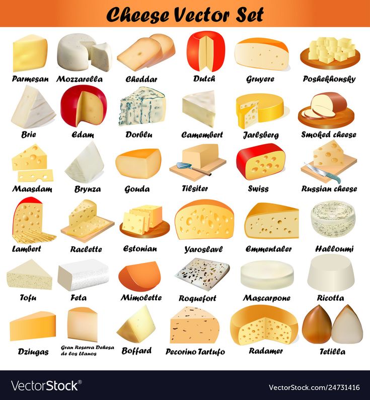 a large set of different types of cheese