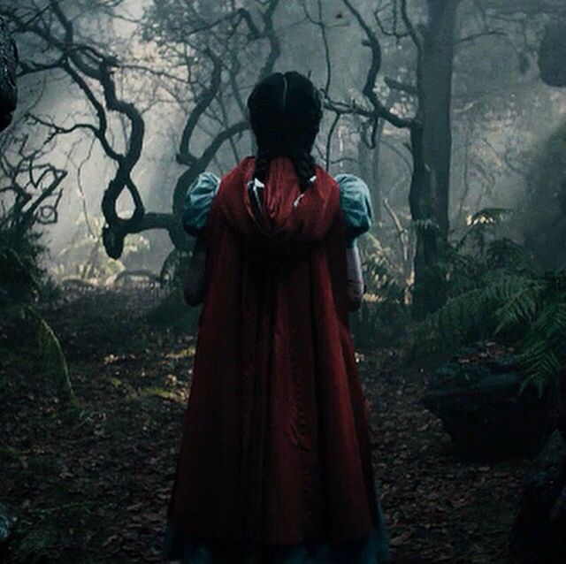 a woman in a red cloak is walking through the woods with her back to the camera