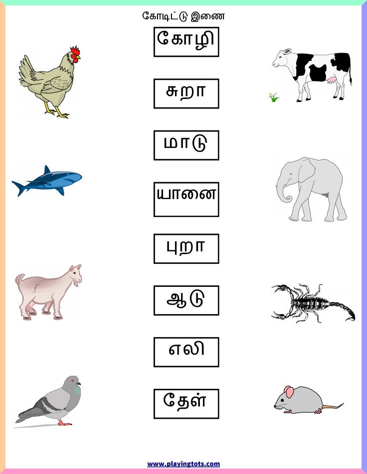 Beginner Tamil Worksheets For Kindergarten