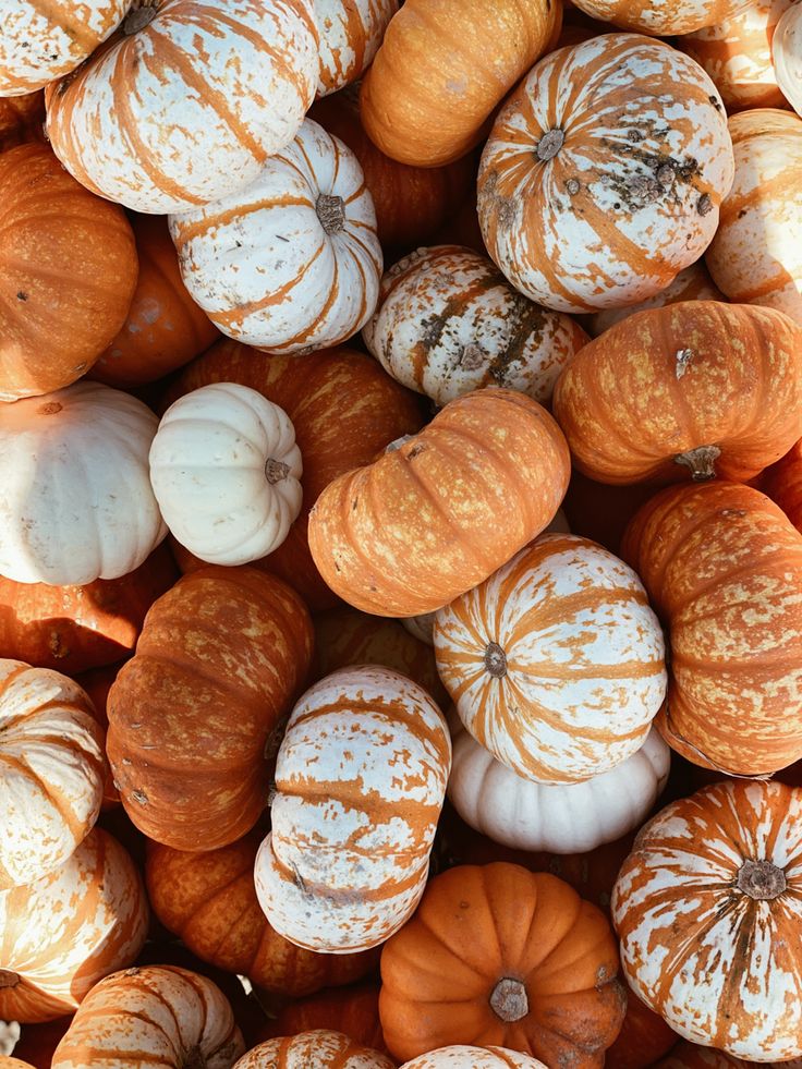 pumpkins and gourds are piled up together