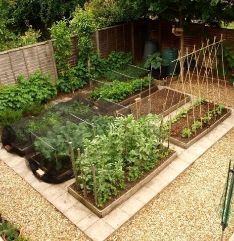 an aerial view of a vegetable garden