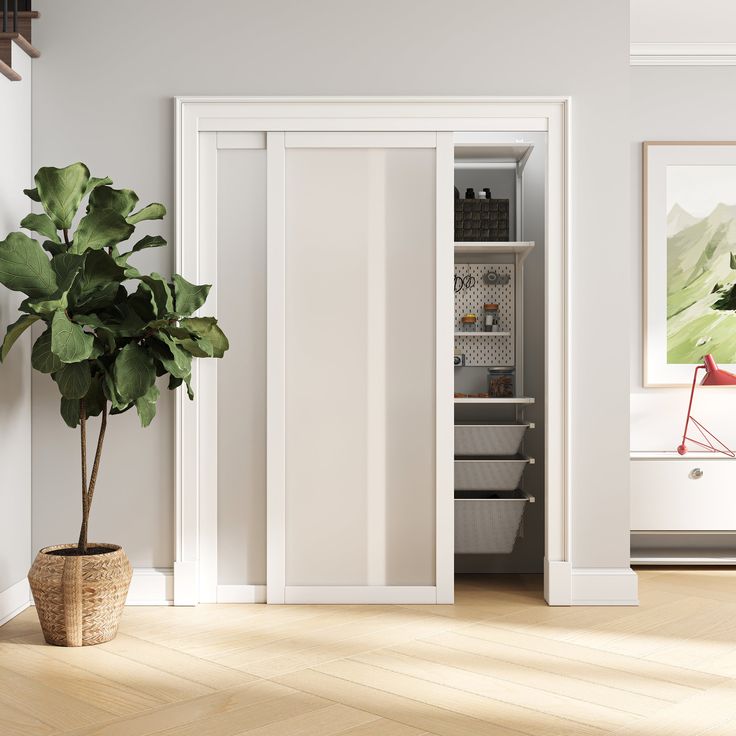 an empty room with a potted plant next to the door and shelves on the wall