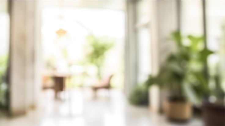 blurry image of an open room with potted plants