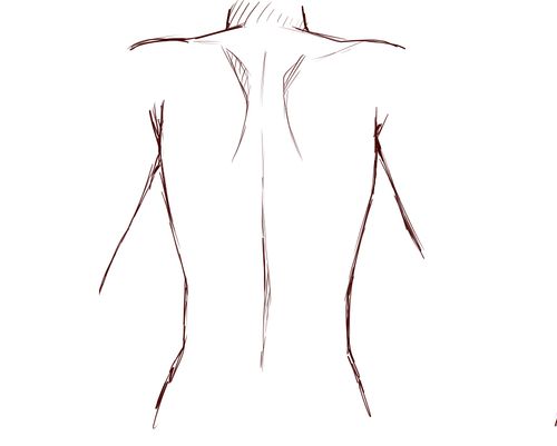 a drawing of the back of a woman's body