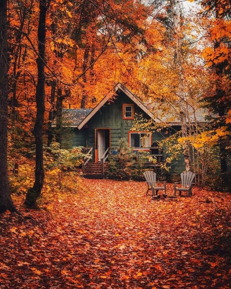 a cabin in the woods surrounded by trees with leaves on the ground and two lawn chairs