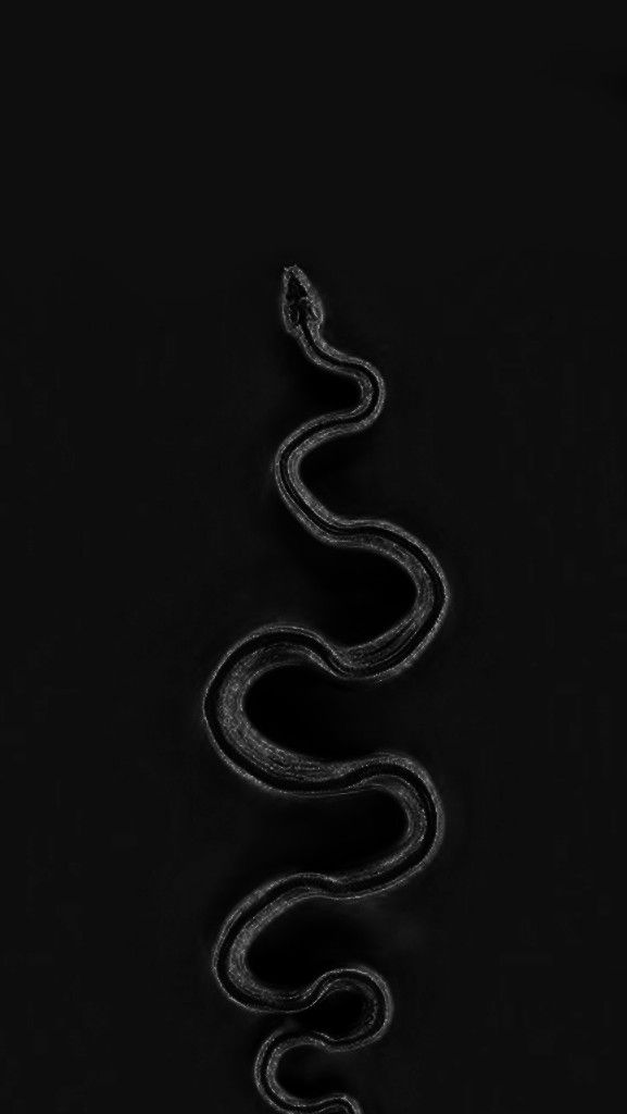 a black and white photo of a snake's tail in the dark with its tongue out