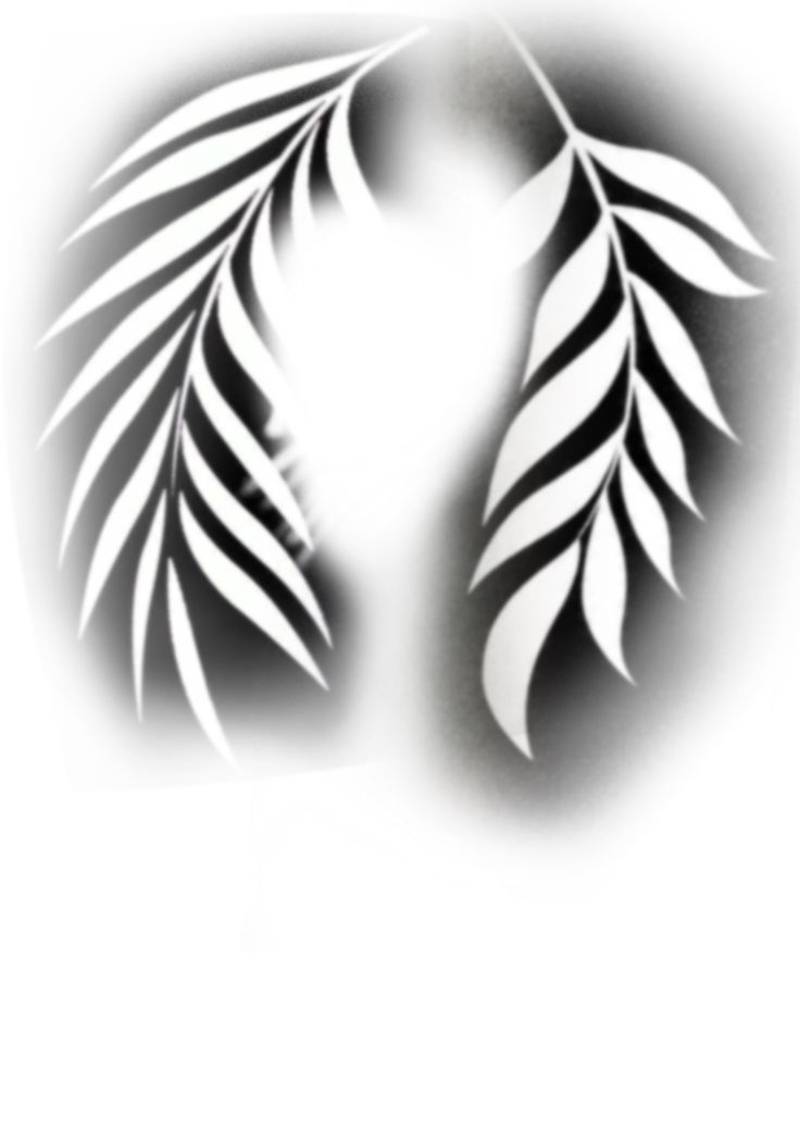 an image of two white leaves in the shape of a heart on a black and white background