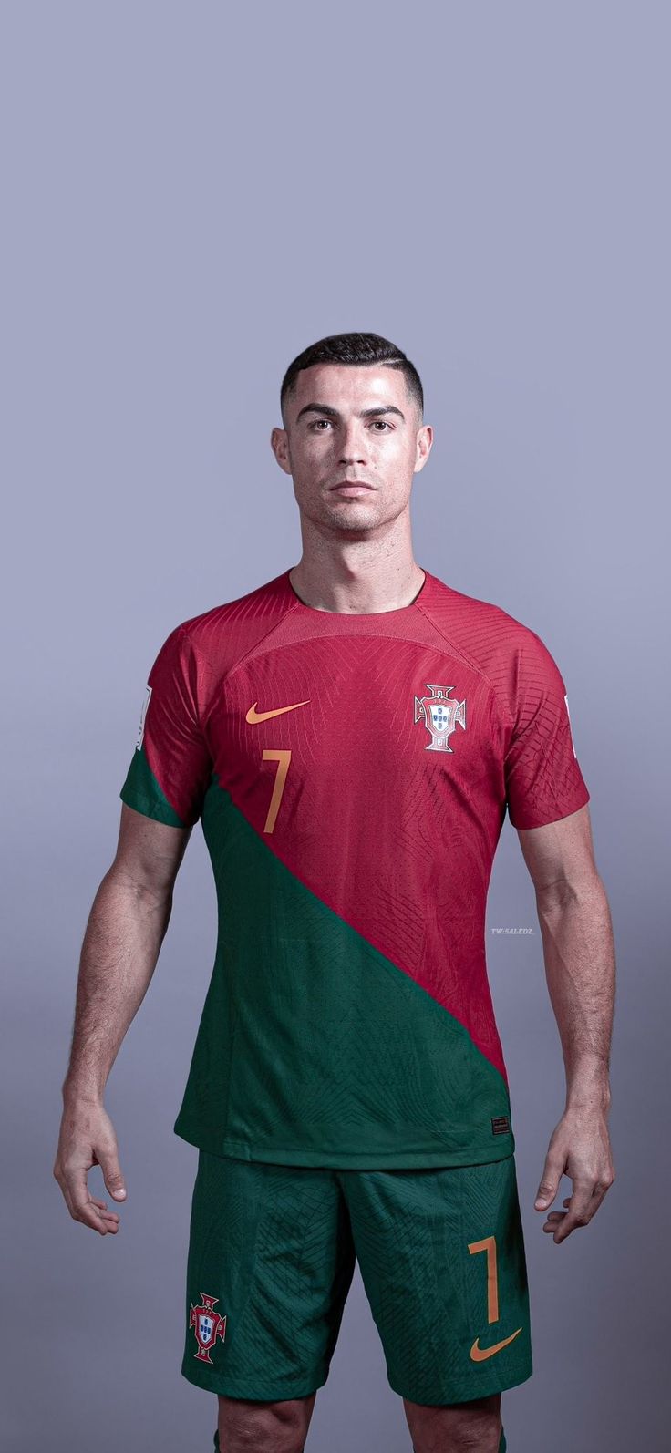 a soccer player poses for the camera in his portugal kit